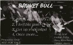 Brunet Bull